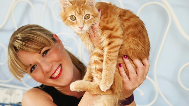 Sarah has got a cat. But she’s no ‘crazy cat lady’. Picture: Justin Lloyd