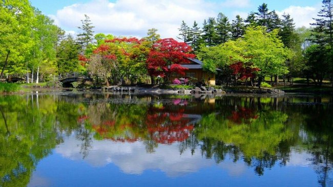 The town of Iwamizawa looks charming enough ... until you find out about the doll that resides there. Picture: Tripadvisor