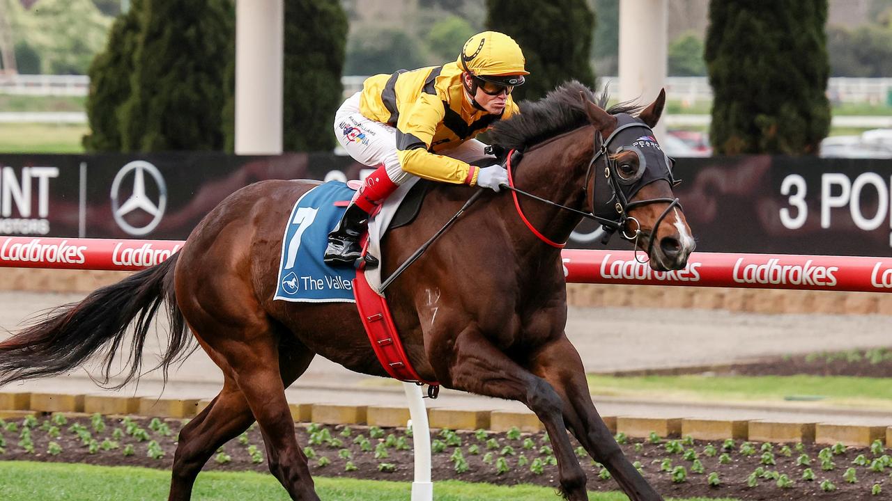 WA speedster Acromantula ‘spot on’ for return to The Valley | CODE Sports