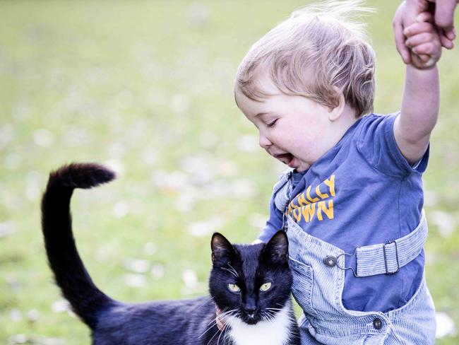 Baby Keith and his friend Sweep the cat. Picture- Nicole Cleary