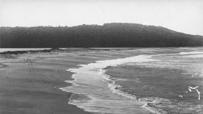 Dee Why Beach c1910. Photo Northern Beaches Library