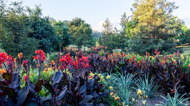 The garden’s aesthetic is Asian. Picture: Kim Woods Rabbidge