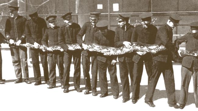 Keepers wrangle a huge snake in an undated photo at Taronga.