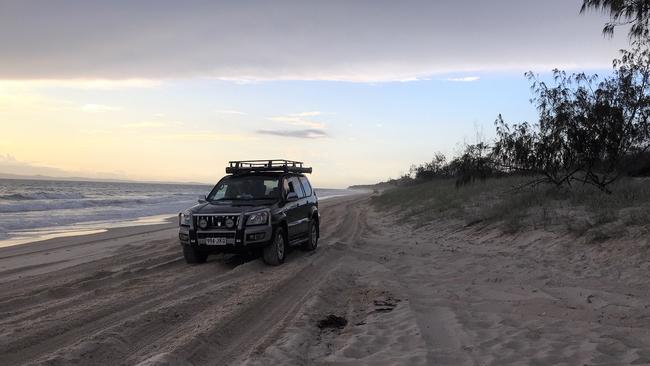 Environmentalists are calling for 4WDs to be restricted, especially on soft-sand above high-tide.