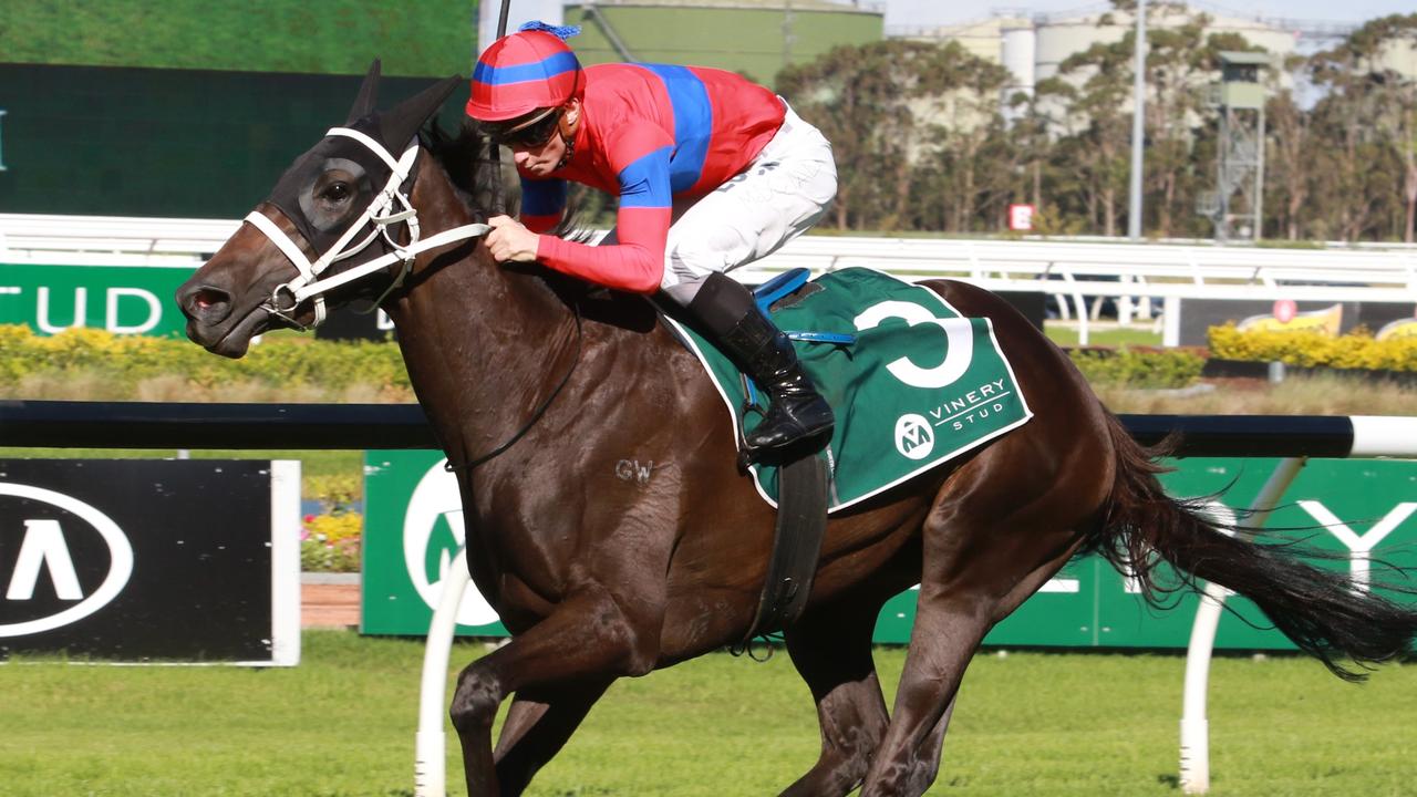 Verry Elleegant scored her first Group 1 win in the 2019 Vinery Stud Stakes. Picture: Grant Guy