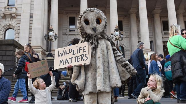 Demonstrators rallied on Victorian parliament steps in Melbourne to call for an end to native forest logging nationwide. Picture: NCA NewsWire / Josie Hayden