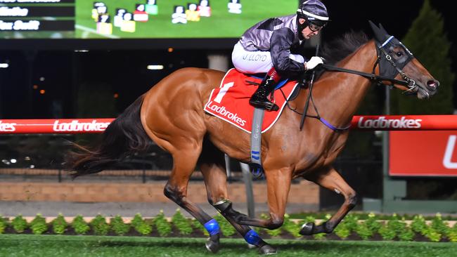 Jeff Lloyd rides Houtzen to win the Group 3 Scarborough Stakes at Moonee Valley in Melbourne. Photo:  Vince Caligiuri/Getty Images