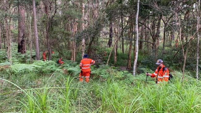 Sunshine Coast SES volunteers assisting QPS in a land search around the Mooloolah Valley area for missing Landsborough teenager, Michael Ryan. Picture: Nambour SES