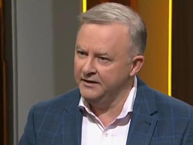 Anthony Albanese told Insiders he suspects Australia will still be exporting coal in 2050.