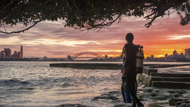 Australian ocean photographer Tom Park has just worked on the Ocean documentary with Sir David Attenborough. Picture: Supplied