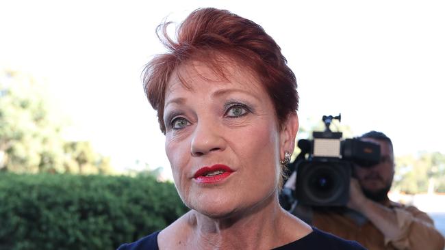 Senator Pauline Hanson. Picture Kym Smith