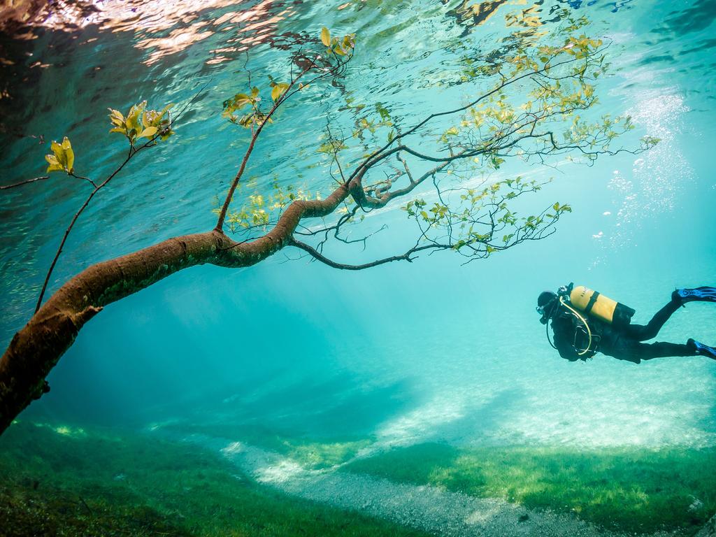 Winners 03 Third Place — “Diver in Magic Kingdom Diver in Magic Kingdom” by Marc Henauer / National Geographic Traveler Photo Contest. Green Lake (Grüner See) is located Tragöss Austria. In spring snowmelt raises the lake level about 10 meters. This phenomenon, which lasts only a few weeks covering the hiking trails, meadows, trees. The result is magical to watch diving landscapes. Picture: <a href="http://travel.nationalgeographic.com/travel/traveler-magazine/photo-contest/2014" target="_blank">National Geographic Photo Contest </a>