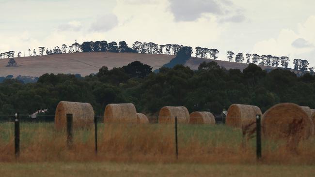 Recent rain is expected to improve hay demand. Picture: Andy Rogers