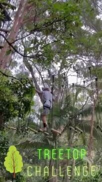 TreeTop Challenge at Currumbin