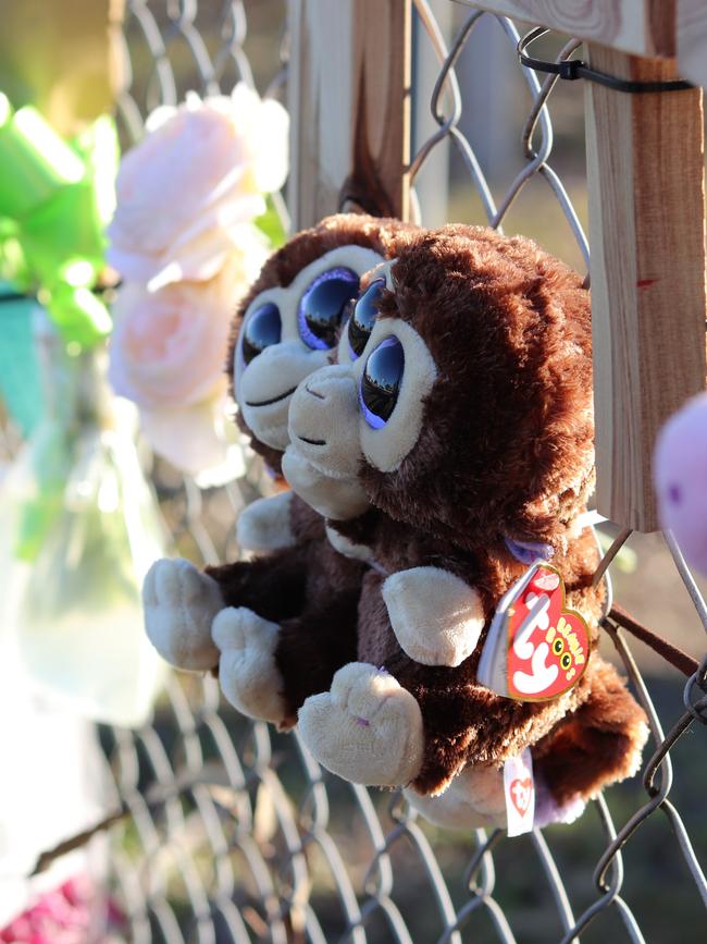 Twin monkeys tied to a fence representing the unborn twin boys who were killed when their mother died on Friday. Picture: Danielle Jarvis