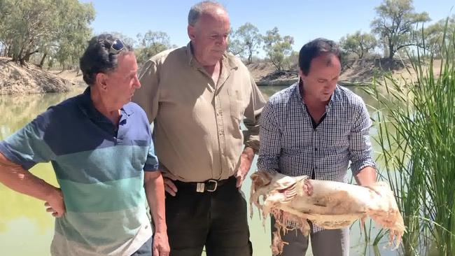 A shot from the video of Jeremy Buckingham being sick on the banks of the Darling River. Picture: Office of Jeremy Buckingham MLC