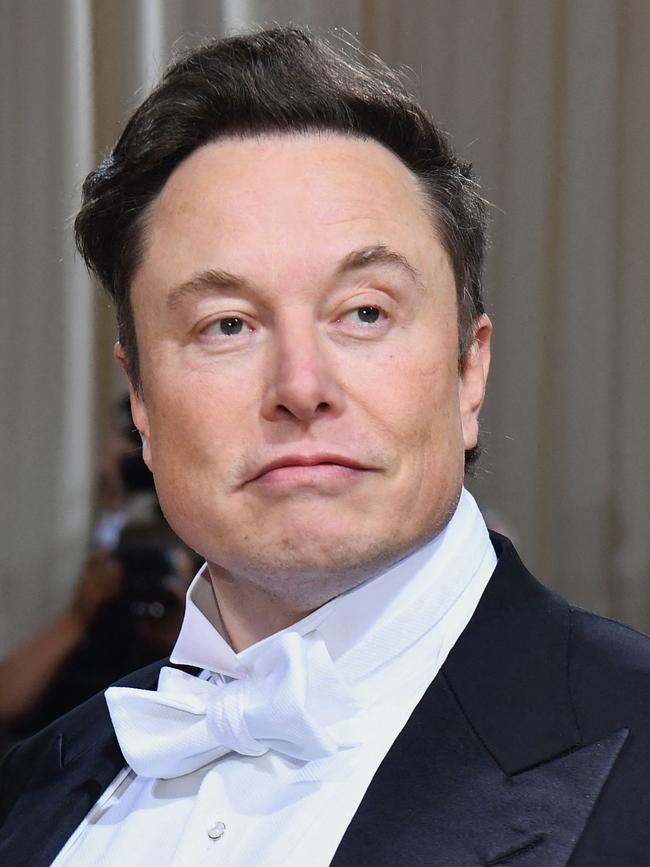 Elon Musk said he “wouldn’t say no” to a fight with the leader. Picture: Angela Weiss/AFP