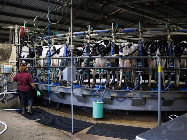 The Altmanns have a 44-unit rotary dairy with auto cup removers and auto teat sprayer.