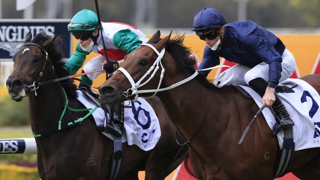 Profondo (left) was narrowly beaten by Head Of State last start and is looking to turn the tables in the Spring Champion Stakes. Picture: Getty Images