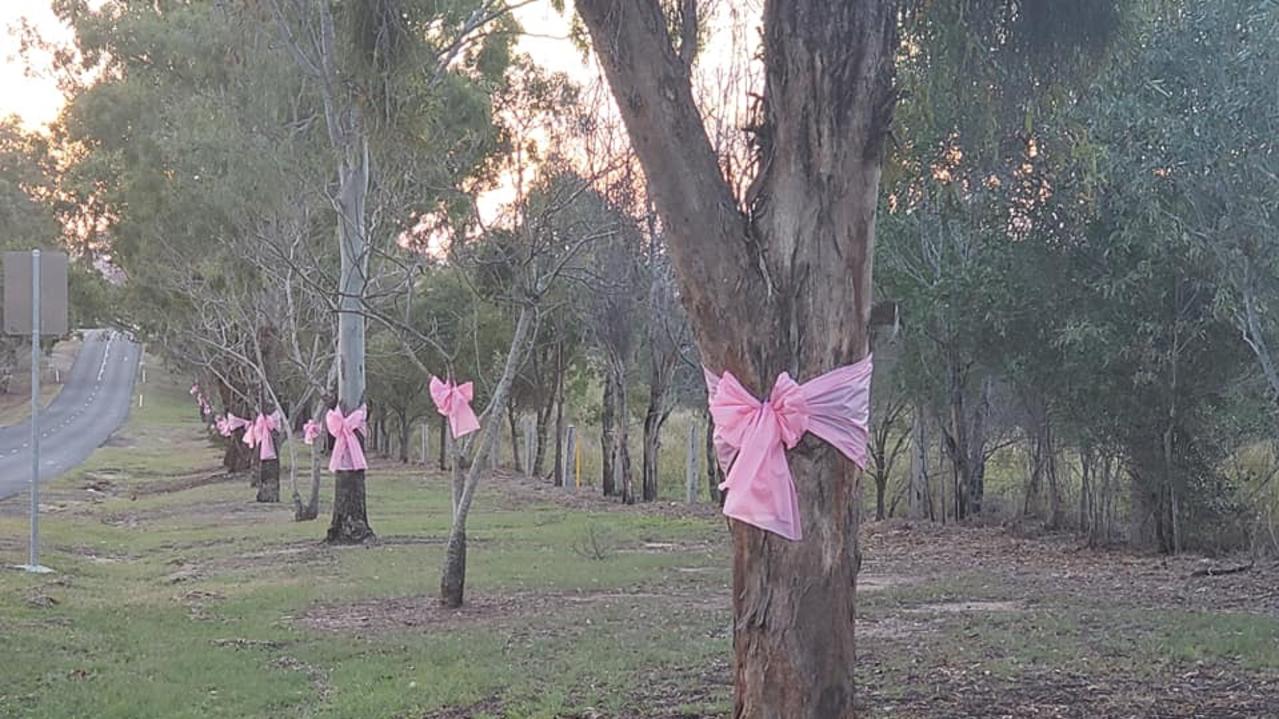 Bows tied to the trees on the wat in to Proston. (Picture: Social Media)