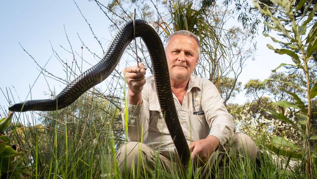 Rolly Burrell at his Mount Compass property with a red-bellied black snake. Picture: Brad Fleet