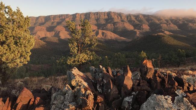 The Elder Range at dawn. Picture: Penny Hunter