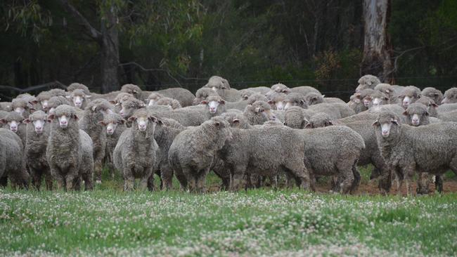 The Yiddinga property in Victoria’s west sold for almost $20 million in December.