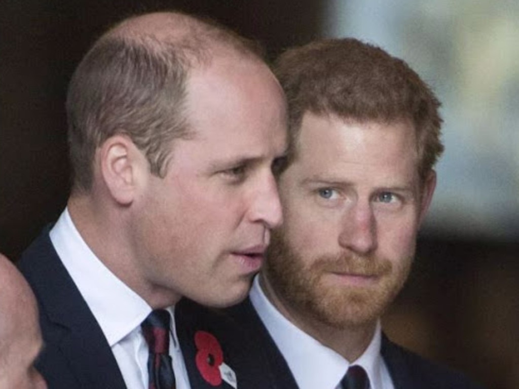 Prince Harry, Prince William: New details of childhood rivalry emerge ...
