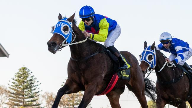 See You In Heaven wins the Behemoth Stakes at Morphettville. Picture: Makoto Kaneko