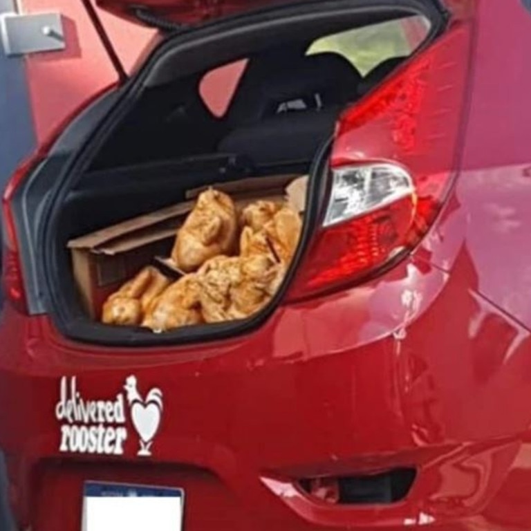 Chickens stuffed in the back of a Red Rooster branded hatchback. Picture: Supplied