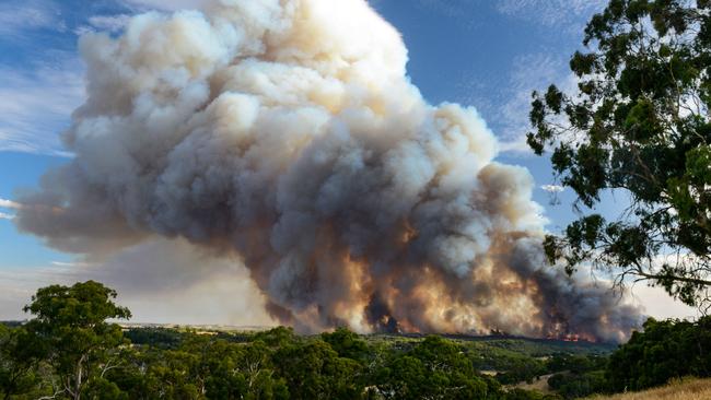 Prosecutors allege Mr McGannon set all of the fires that burned at Cherry Gardens, Clarendon and other locations on the day. Picture: Brenton. Edwards