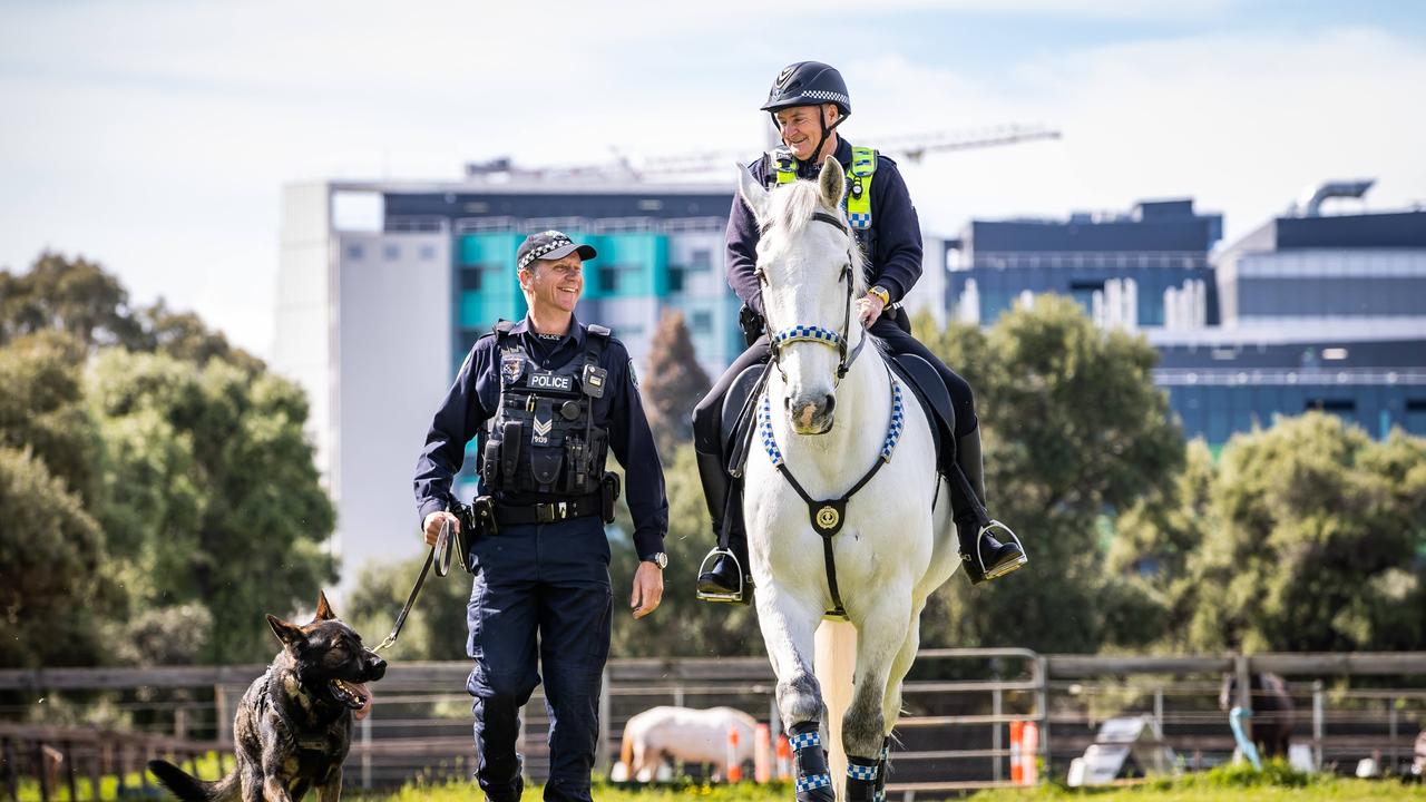 Dog handler Sargeant Simon Rosenhahn with police dog Bomber and Mounted officer Senior constable Darcy Wright with police horse Yass, at the Thebarton Police Barracks. Picture: Tom Huntley