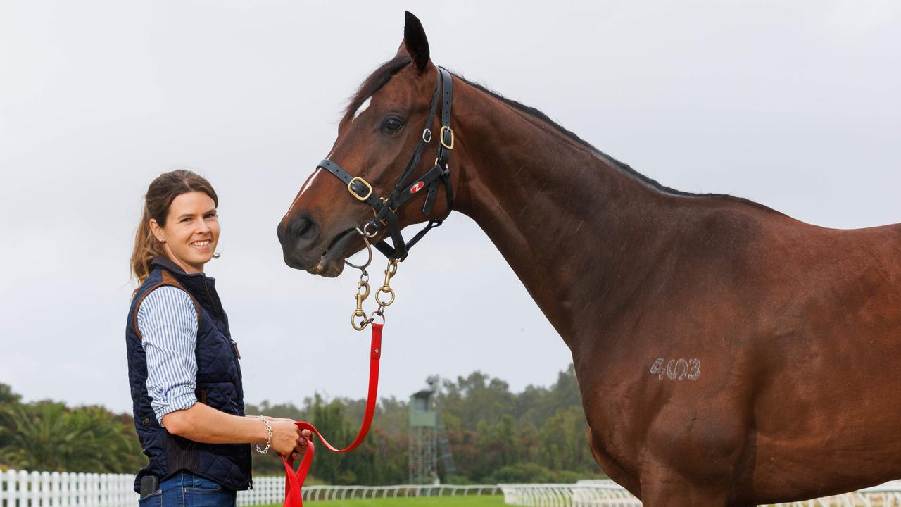 ’What am I doing?’: From tears to cheers for Attractable’s trainer ...