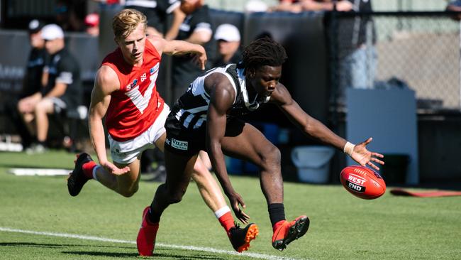 Port Adelaide and North Adelaide will meet at Adelaide Oval. Picture: Morgan Sette/AAP