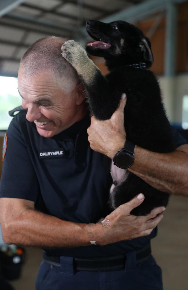 NT Police Dog Operations Unit Senior Constable Steven Dalrymple with the squads newest recruits, Axe and Jax. Constable Dalrymple's canine partner Drax is the puppy's father.