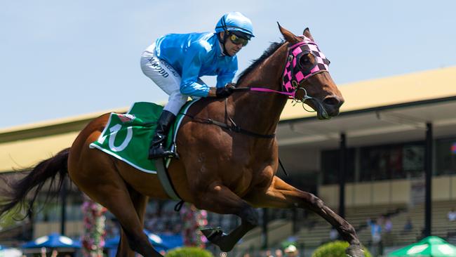 Ziemba should get the tempo to finish strongly. Picture: AAP