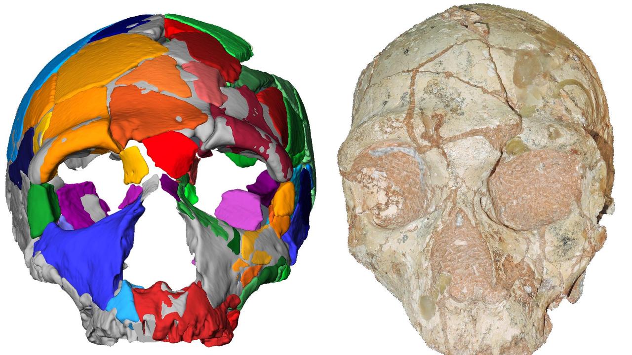 A reconstruction and computer model of part of a 210,000-year-old skull which was discovered in a Greek cave. Picture: AFP