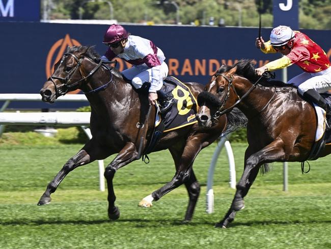 Amazing Eagle could be saved for next week's Liusted Gosford Guineas. Picture: Bradley Photos