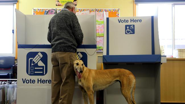 Greg Board a greyhound breeder of more than 200 dogs casting his vote with retired race dog Amanda by his side. Picture: Jonathan Ng