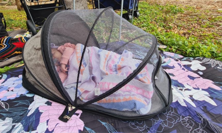 Baby tent kmart hotsell