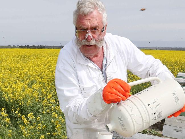 Apiarist Lindsay Bourke treating bees with liquid nitrogen to assess rapid hygienic behavior at Nile