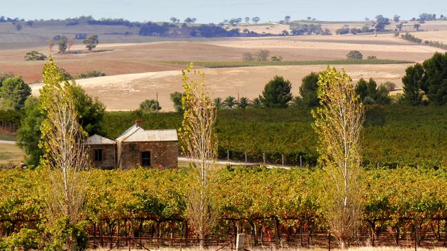 Sunburnt open country in the Barossa Valley, South Australia.