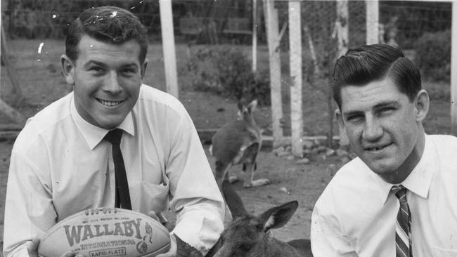 Wallabies of 1963 Dallas O'Neill (left) and Dick Marks with...a wallaby.