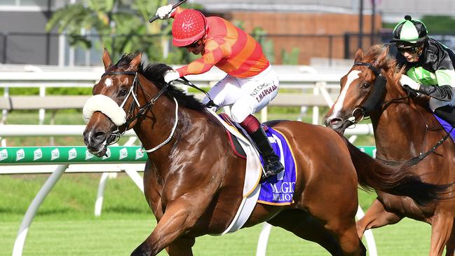 Apache Chase hung on to win the Vo Rogue Plate at Eagle Farm. Picture: Trackside Photography