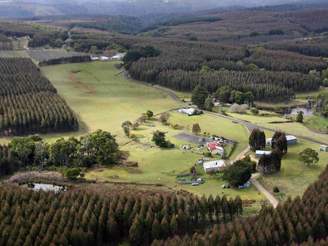 Forestry plantations around Meunna and Preolenna, Tasmania. Picture: News Corp Australia