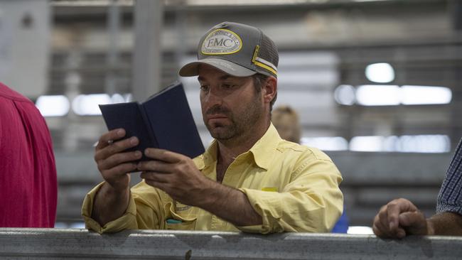 Buyer at the recent weaner sales, Ben Redfern of Ray White Emms Mooney doing calculations. Picture: Zoe Phillips