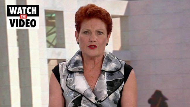 Pauline Hanson calls for Australian boycott of Chinese products