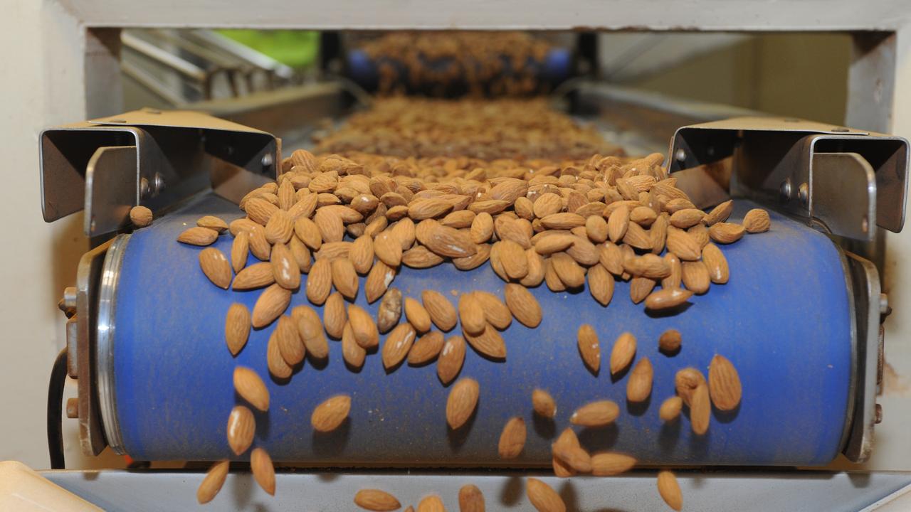 Record almond crop predicted as harvest kicks off