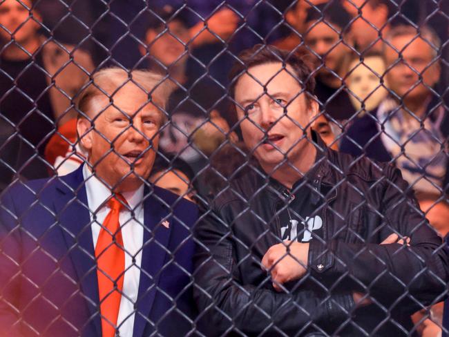 US President-elect Donald Trump, Tesla and SpaceX CEO Elon Musk and Donald Trump Jr. (R) watch a fight during UFC 309 at Madison Square Garden in New York, on November 16, 2024. US President-elect Donald Trump was greeted by chanting fans as he attended the Ultimate Fighting Championship heavyweight bout at New York's Madison Square Garden on November 16. Trump entered the arena shortly before the start of the main card accompanied by UFC chief executive Dana White, who was a prominent backer during his election campaign. Several political allies of Trump were also in attendance including entrepreneurs Elon Musk and Vivek Ramaswamy, who have been asked by Trump to lead efforts to cut government inefficiency. (Photo by Kena Betancur / AFP)