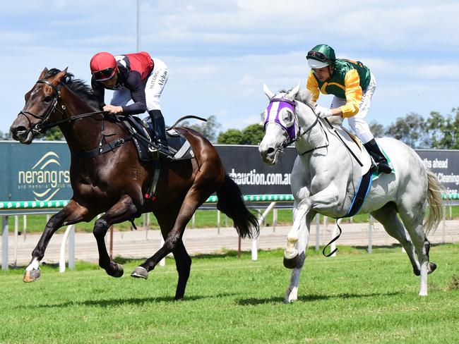 Supergiant (inside) shades The Candy Man in a gallop at the Gold Coast yesterday. Picture: Trackside Photography